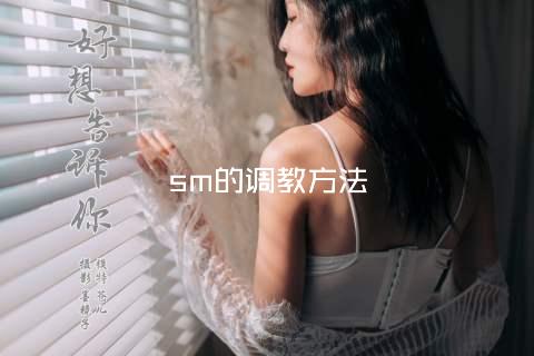 sm的调教方法